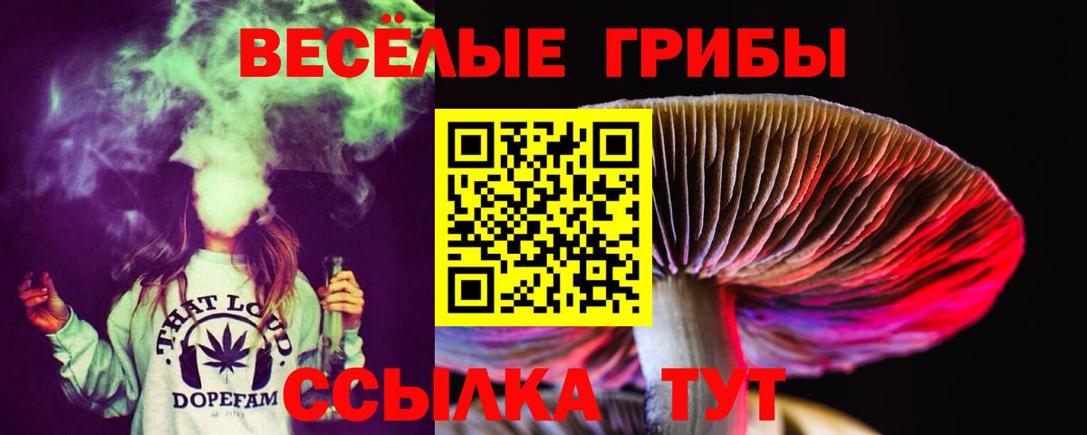 Медногорск  Псилоцибиновые грибы прущие грибы  Вход с VPN  Галлюциногенные грибы GOLDEN TEACHER 